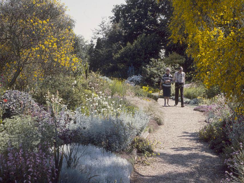 Gardens - Scene showing Beth Chatto's Garden