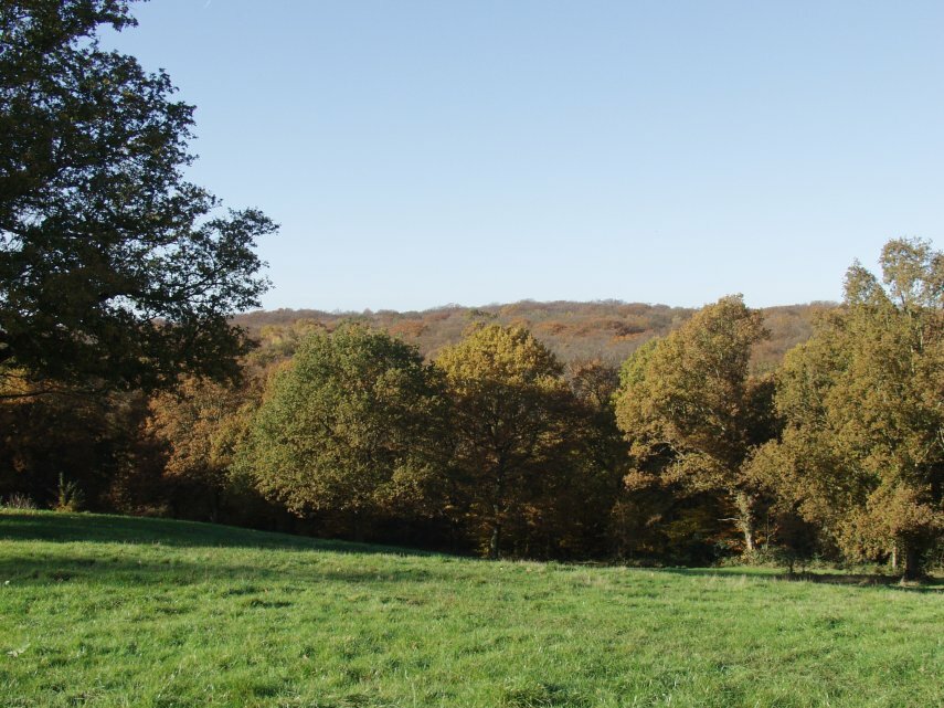 The view from Baldwins Hill, Epping Forest, Loughton, Essex, England