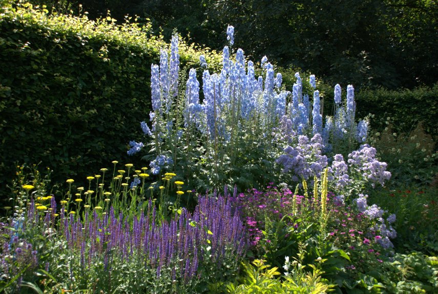 Gardens - Scene showing Anglesey Abbey Garden