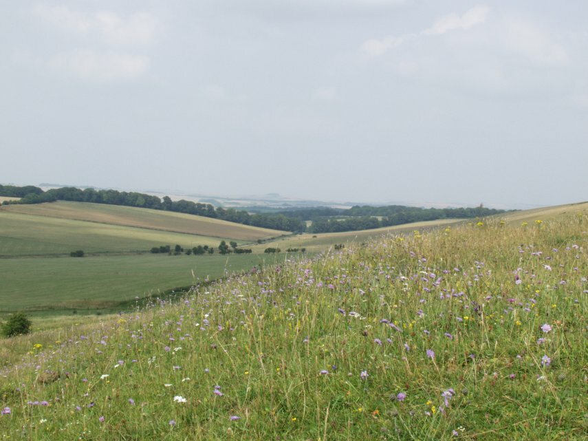 Picture of Pewsey Vale from Knap Hill, Marlborough, Wiltshire, England