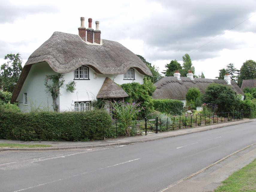 Scene showing Thatched houses, New Forest, Hampshire, England