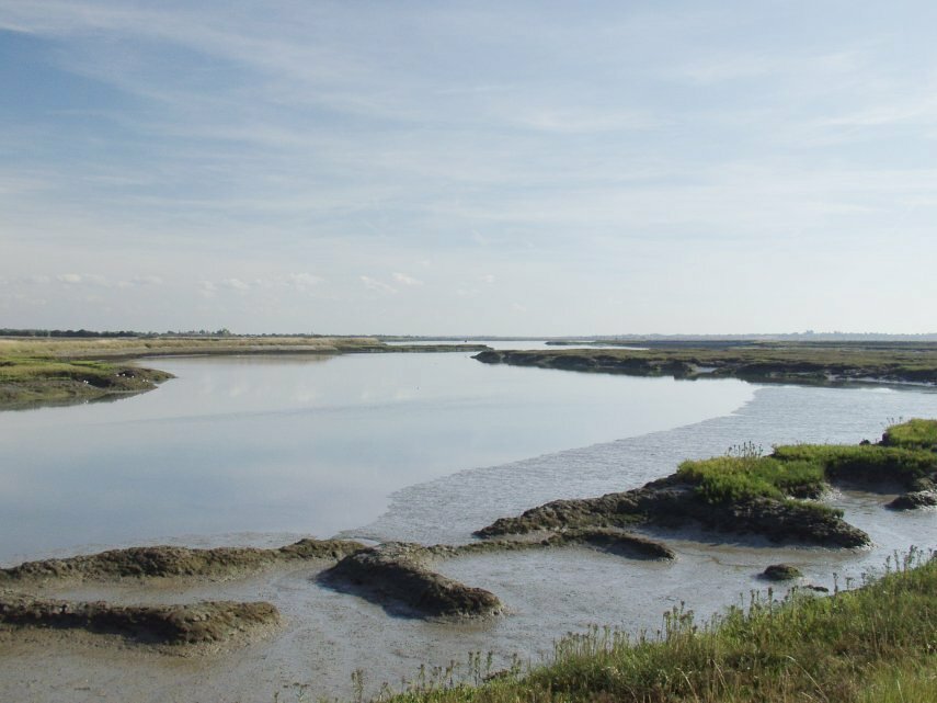 The Essex Marshes, Salcott, Essex, England