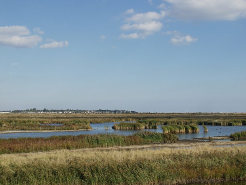 The Essex Marshes, Salcott, Essex, England