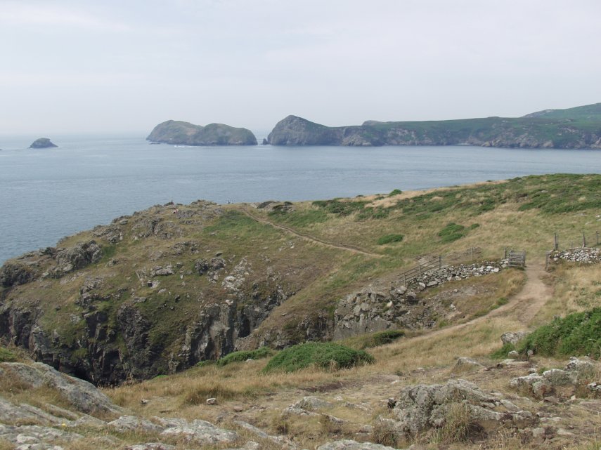 View of a footpath on the Pembrokeshire coast, Pembrokeshire, Wales