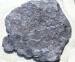 Photograph of Ammonites (Hypoceratids), North Yorkshire, England