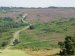 View of Ashdown Forest, Sussex, England - Countryside