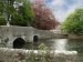 Scene showing the River Wye, Ashford-in-the-Water, Derbyshire, England
