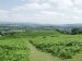 Picture of the Usk Valley from Pen-y-crug, Brecon, Brecknockshire, Wales - Landscapes
