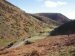 Scene showing Cardingmill Valley, Church Stretton, Shropshire, England - Countryside