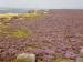 View of Curbar Edge & Big Moor, Peak District, Derbyshire, England - Countryside