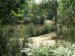 View of Strawberry Hill pond, Epping Forest, Essex, England, Great Britain