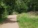 Scene showing a footpath in Epping Forest, Essex, England