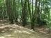 Loughton Camp ( An Iron Age hill fort), Epping Forest, Essex, England