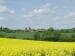 Photograph of a view near Kersey, Suffolk, England - Landscapes