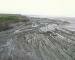 View of the foreshore at Kilve, Somerset, Great Britain