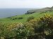 View on the Great Orme at Llandudno, Caernarfonshire, Wales, Great Britain - Landscapes