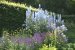 Anglesey Abbey, Lode, Cambridgeshire