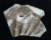Photograph of an Ammonite fragment (Phylloceras sp.), North Yorkshire, England