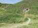 View of a footpath on the Pembrokeshire coast, Pembrokeshire, Wales