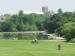 View of Verulamium Park lake, St. Albans, Hertfordshire, England, Great Britain