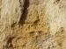 Photograph of Pleistocene Red Crag showing a band of fossils, Walton-on-the-Naze, Essex, England