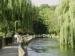 View of the River Itchen, Winchester, Hampshire, England