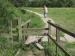 Scene showing a footpath and stile, Winchester, Hampshire, England