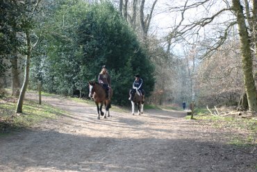 View of horse riders on Ashridge, Aldbury, Hertfordshire, England