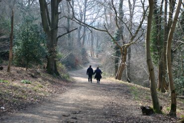 View of walkers on Ashridge, Hertfordshire,  England