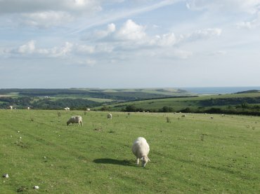 The South Downs, Alfriston, Sussex, England