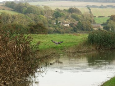 Scene showing the Cuckmere River and Litlington, Sussex, England