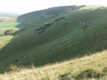 View of the Wilmington Long Man from Windover Hill, Sussex, England