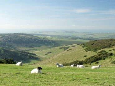 Photo of the view from Windover Hill, Sussex, England