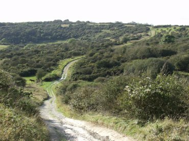 View of the path across Lullington Heath near Windover Hill, Sussex, England
