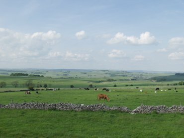 Scene showing the view from Arbor Low - an ancient stone henge, Derbyshire, England