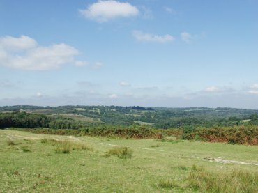 View over Ashdown Forest near Nutley, Sussex, England