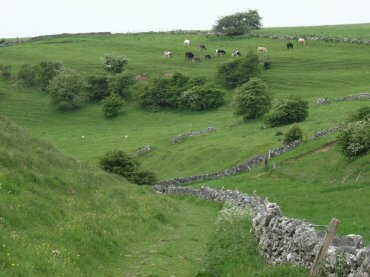 Picture of the path into Biggin Dale, Hartington, Derbyshire Peak District