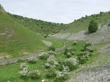 Picture of Biggin Dale, Hartington, Derbyshire Peak District