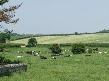 Photograph of the view from Binham Priory, Binham, Norfolk, England