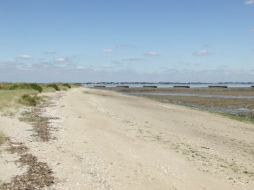 Scene showing the wide expanse of baech, St. Peter's-on-the-Wall chapel, Bradwell-on-Sea, Essex
