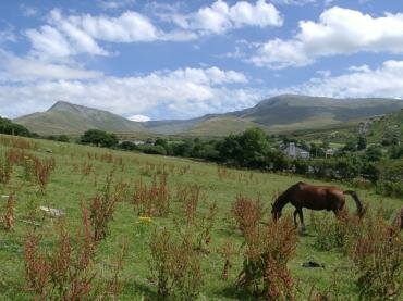 Scene showing the Carneddau near Bethesda, Caernarvonshire (Gwynedd), Wales