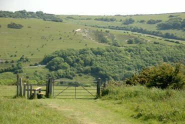 A view near Devils Dyke, Sussex, England