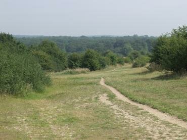 View over Chingford Plain, towards Connaught Water, Epping Forest, Essex, England