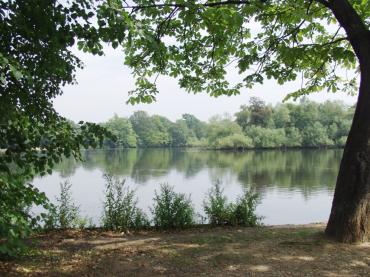 Epping Forest