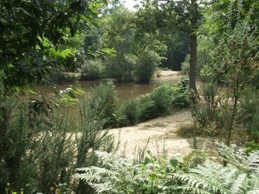View of Strawberry Hill Pond, Epping Forest, Essex, England