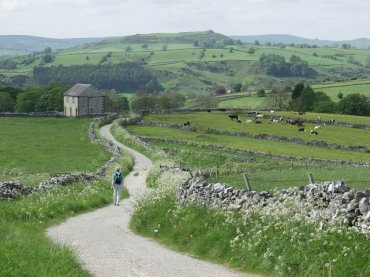 Picture of the countryside around Hartington, Derbyshire Peak District