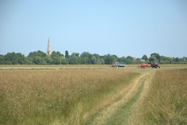 View of Hemingford Grey Meadow and St. Ives, Huntingdonshire (Cambridgeshire), England