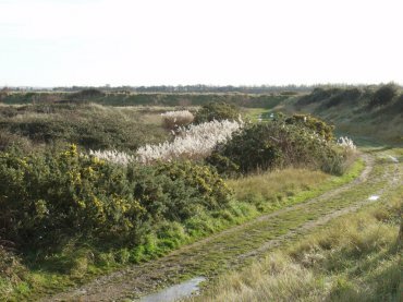 View looking along the path by the river Blackwater, Heybridge Basin, Maldon, Essex, England