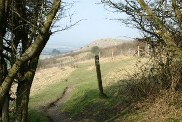 The Ivinghoe Hills, Chiltern Hills, Buckinghamshire, England