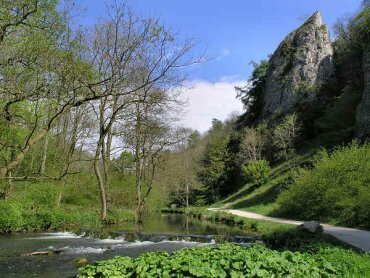 Picture of dovedale,, Ashbourne, Derbyshire Peak District